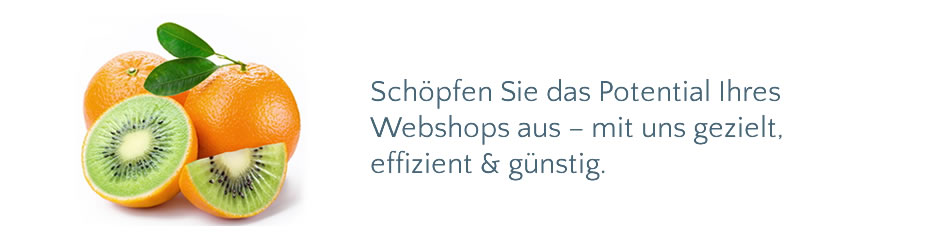Banner OrangenApfel Startseite